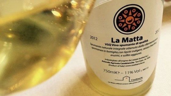 Nel Cilento artigiano il vino è un micromondo di storie, vigne e pensieri