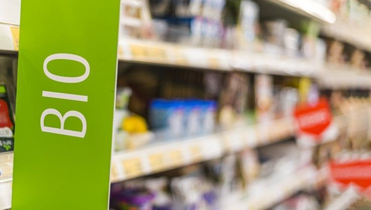 Biologico, cresce l’export italiano: nel 2022 vendite a +16% per 3,4 miliardi 