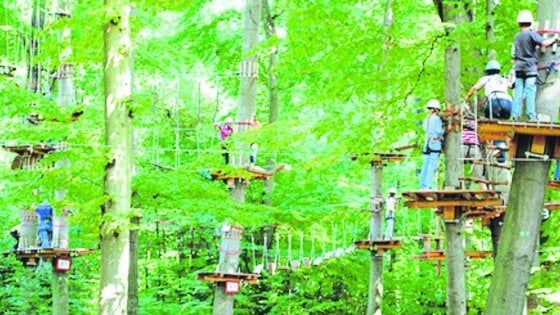 Arriva un adventure park sui colli bolognesi