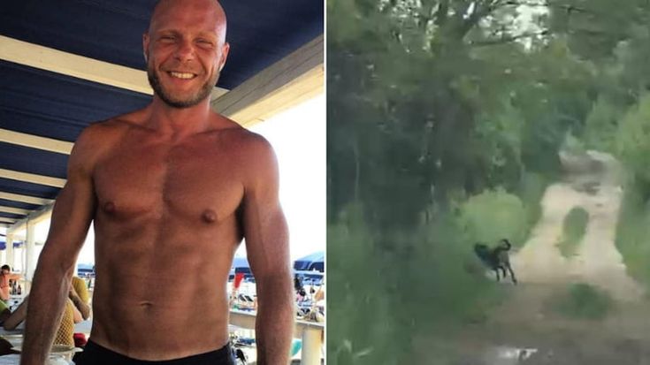 Manziana, molossi liberi nel bosco dove morì sbranato Paolo Pasqualini: “Pericolo ancora concreto”
