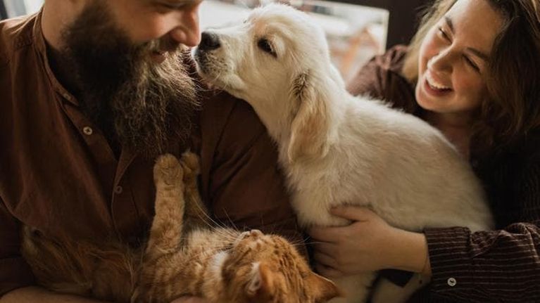 Cani e gatti in famiglia, 4 italiani su 10 li scelgono al posto dei figli