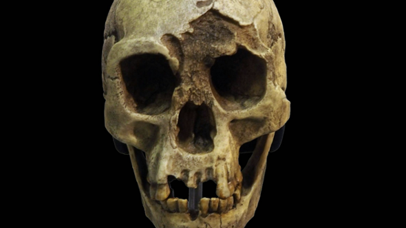 Gli “Hobbit” potrebbero essere scomparsi 50.000 anni fa a causa di una crisi ecologica