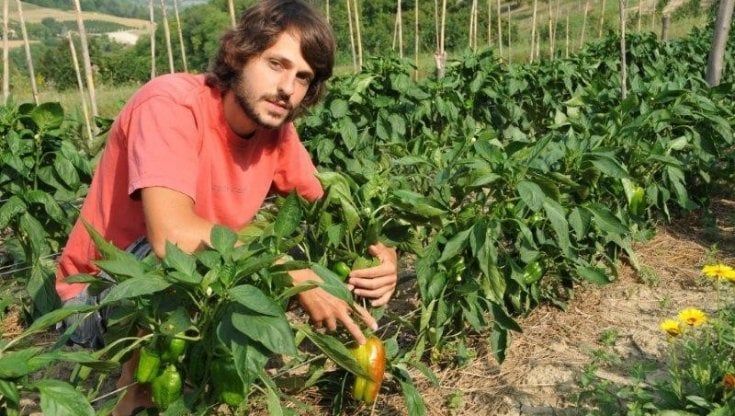 Stefano Scavino, un ex architetto dietro il salvataggio dell'Arca del gusto