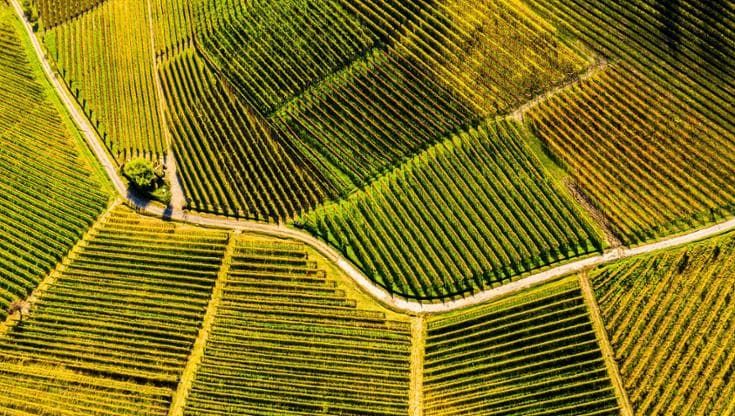 L’economia circolare entra in cantina