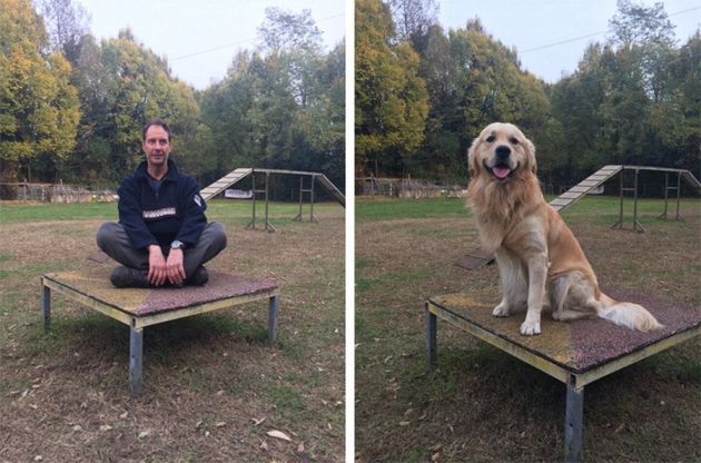 Il tuo cane ricorda quello che fai