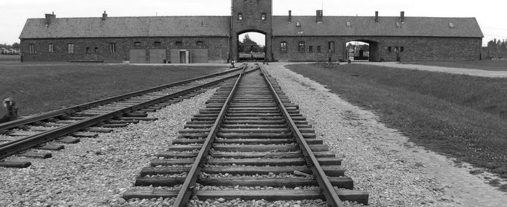 In cerca della piccola "M". "Ma quei capelli biondi ad Auschwitz pu&ograve; averli visti solo per pochi minuti"