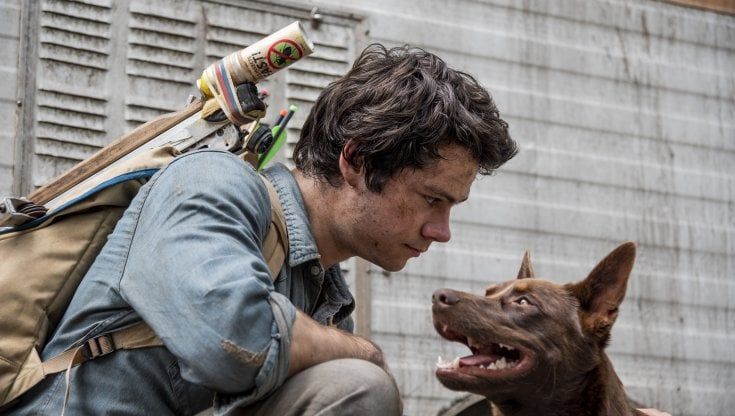 Oscar 2021, 'Love and Monsters', l'amore teen nell'apocalisse sfida 'Tenet'