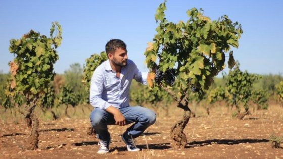 La Bottiglia: in Puglia il bianco diventa impertinente