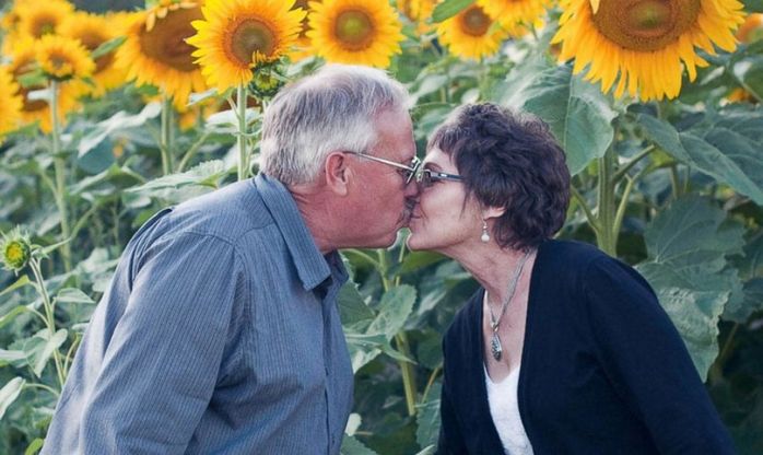 USA, pianta 4500 girasoli in ricordo della moglie morta di cancro