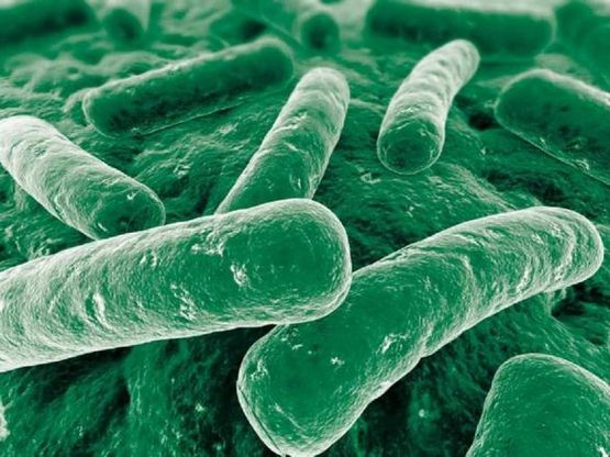 Bambini, il decalogo per usare correttamente gli antibiotici