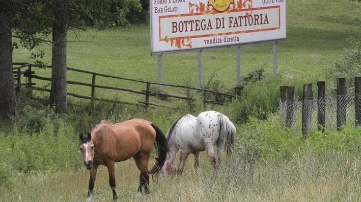 Forteto, la storia finisce qui: la cooperativa di Vicchio è stata messa in liquidazione