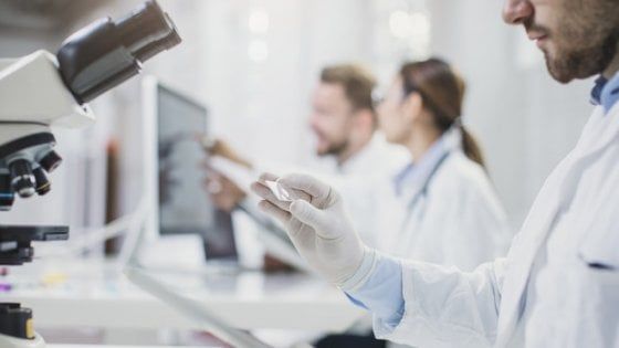 In una proteina i segnali di Sos delle cellule immunitarie 