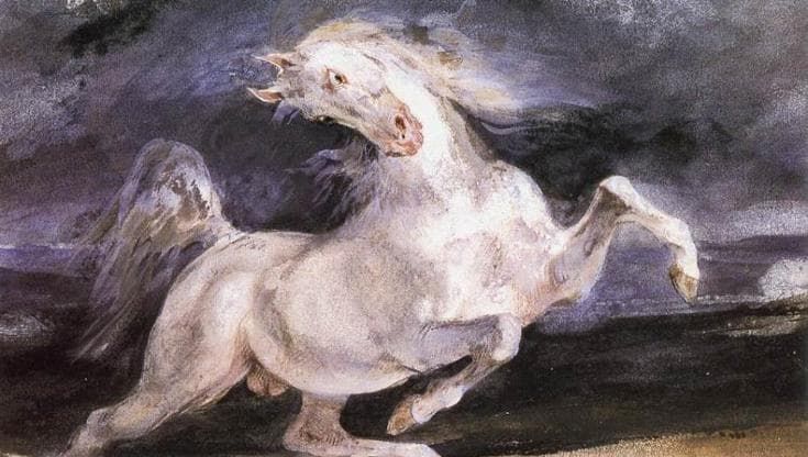 I cavalli annusano le nostre emozioni, ecco la prova