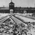 Natale, Amazon costretta a ritirare le decorazioni a tema Auschwitz. Dal Memoriale: 