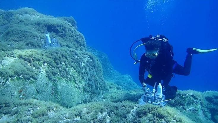 Eolie, così le alghe rispondono al cambiamento climatico