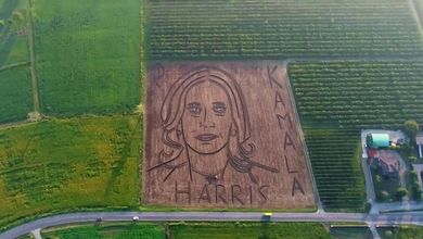 L'omaggio dell'artista italiano Dario Gambarin a Kamala Harris: il maxi-ritratto è su un campo nel Veronese