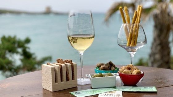 Coronavirus, aperitivi gratis per il personale del 118 a Peschici: "Un grazie non sarebbe sufficiente"