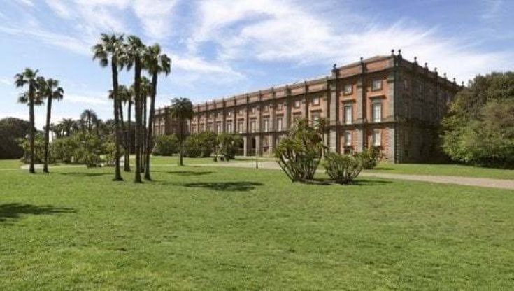 Capodimonte, un webinar sulla riscoperta del Real Bosco