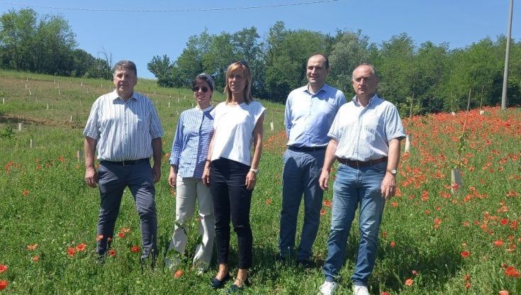 Ambiente, un nuovo bosco a Talignano: piantati 640 alberi