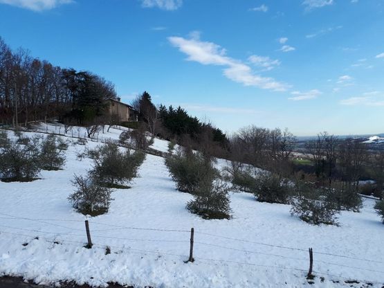 Da Casatico a Tarsogno: parmense innevato - Foto 