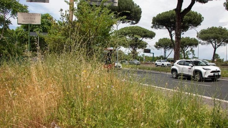 Ama, task force al lavoro. Oggi vertice in Comune per il piano d’intervento