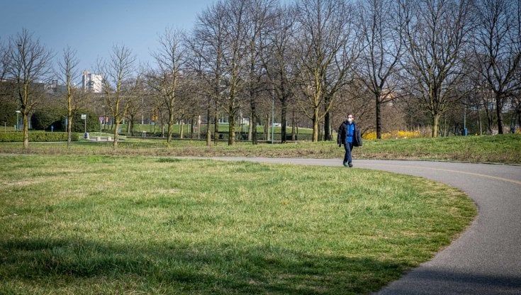 A Natale regala una zolla di terra del Parco Nord Milano: l'idea per difendere e far crescere il verde urbano