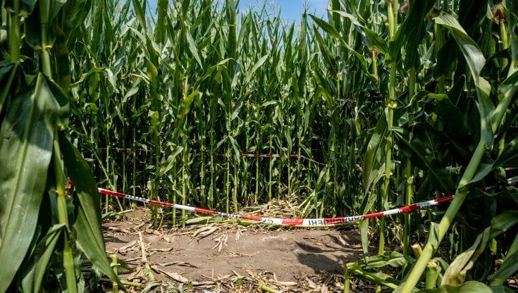 Ragazze schiacciate dal mezzo agricolo nel campo di mais, chiuse le indagini sui 4 amici: "Fu omissione di soccorso"