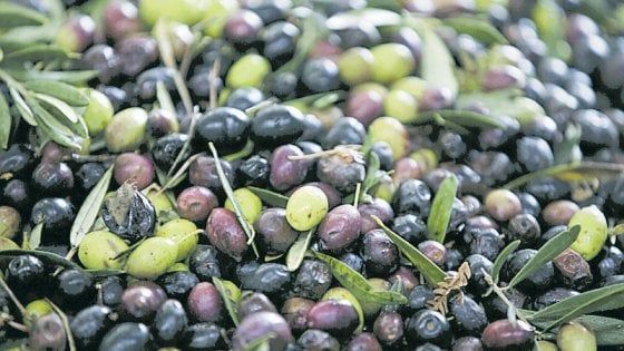 Bene il Nord, male il Sud prodotto in calo del 38%