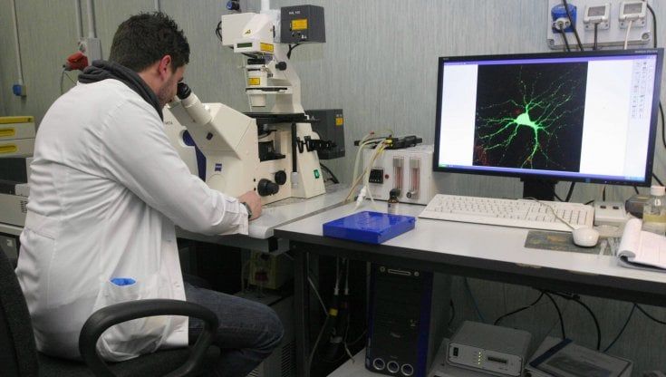 Pnrr, 170 milioni all'Università di Firenze per reclutare 200 studiosi con le scienze della vita al centro dei bandi