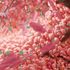 Fertilità, il microbiota intestinale gioca un ruolo fondamentale