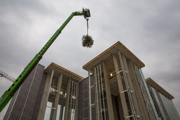 Expo, la Svizzera fa volare un albero sul suo padiglione