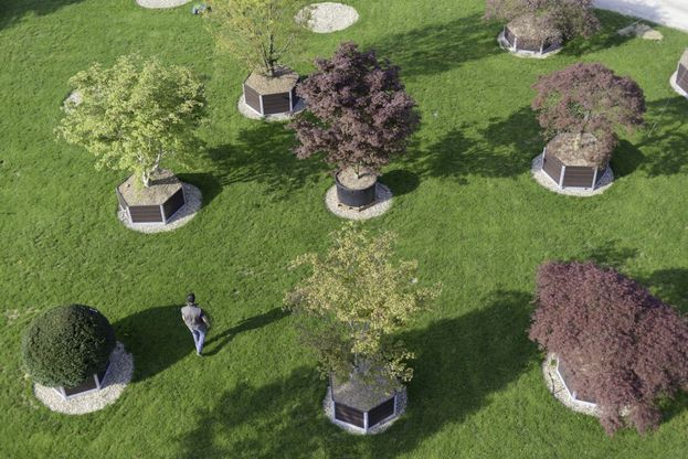 Al Pistoia Nursery Park piante da tutto il mondo