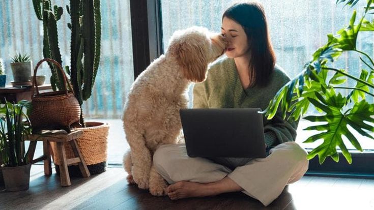 Se la casa diventa poliamorosa: animali, robot, batteri e piante sono i nostri nuovi coinquilini