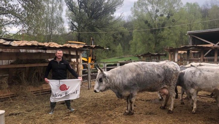 Il coraggio del dottor Travetsky, rimasto in Ucraina per salvare le mucche grigie 