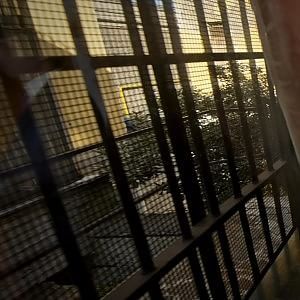 Belloni: "C'&egrave; abuso di carcere preventivo"