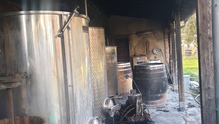 Prima l'incendio e poi la grandinata, l'azienda del Brunello in ginocchio lancia un crowdfunding