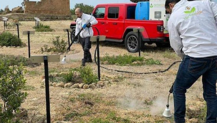 Green Conservation, partito il primo intervento in Sicilia nella Valle dei Templi