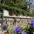 Alassio, nel borgo del Muretto di Hemingway la tavola è cultura 
