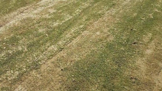 Serie B, campo impraticabile: Cosenza-Verona 0-3 a tavolino