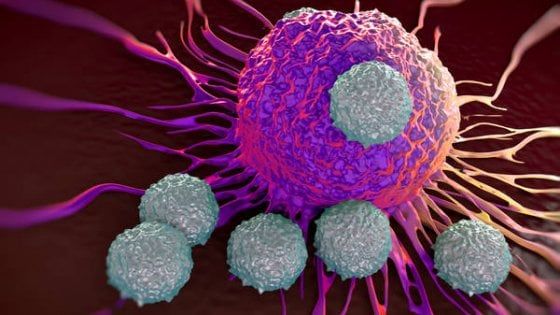 Dalle staminali una nuova immunoterapia anticancro