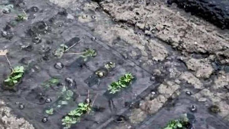 Napoli, la guerra dei tombini: "Erano coperti da rifiuti"