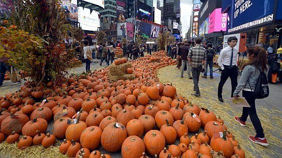 Le zucche di Halloween inquinano? Gli Usa le trasformeranno in biocarburante