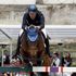 Equitazione, Moneta in finale di Coppa del mondo: 