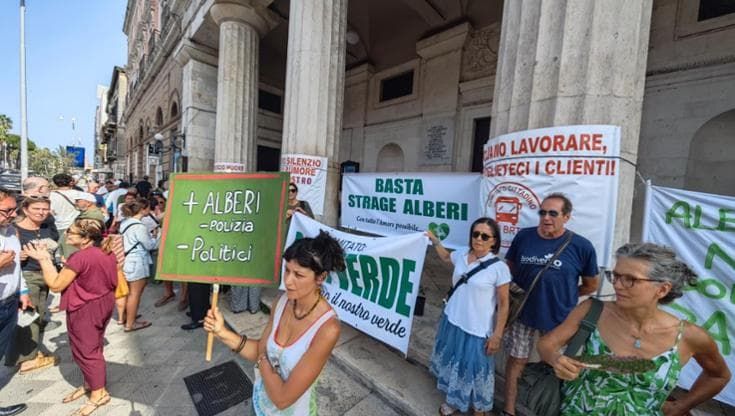 Alberi a Bari, la battaglia tra ambientalisti e Comune: “È una strage”. “Falso, ne avremo 15mila”