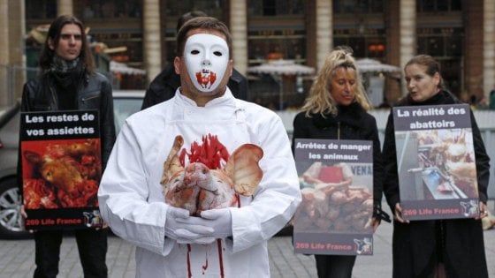 Diritti degli animali: la scelta vegana degli intellettuali