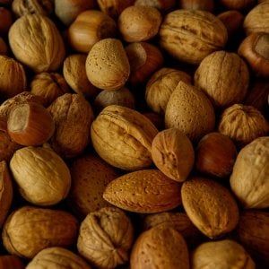 Bastano poche noci al giorno per evitare il medico