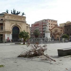 Raffiche di vento e alberi abbattuti, paura in strada
