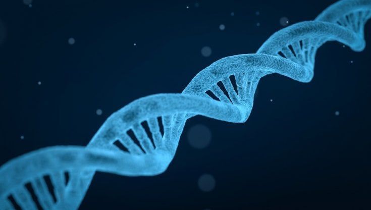 Una nuova terapia per le pazienti con mutazioni Brca