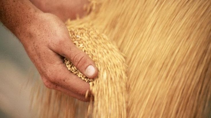 Sul mercato delle materie prime agricole domina la volatilità
