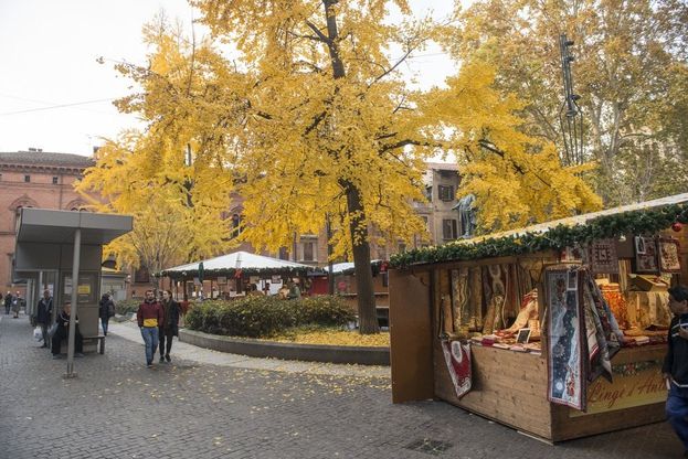 Atmosfera magica nel centro di Bologna tra foliage e Natale